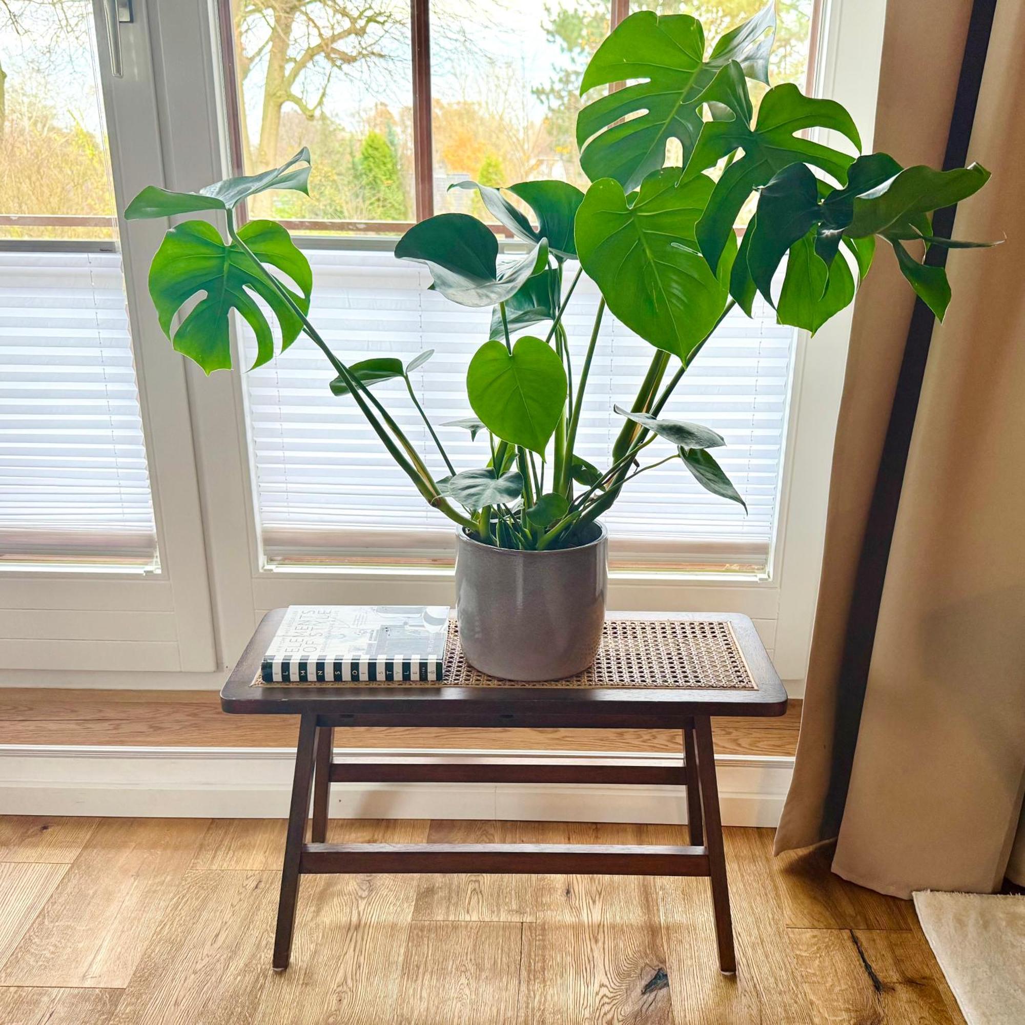 Happy Place Mit Sonnen-Balkon Und Stellplatz Nur 400 M Zum Strand シャルボイツ エクステリア 写真